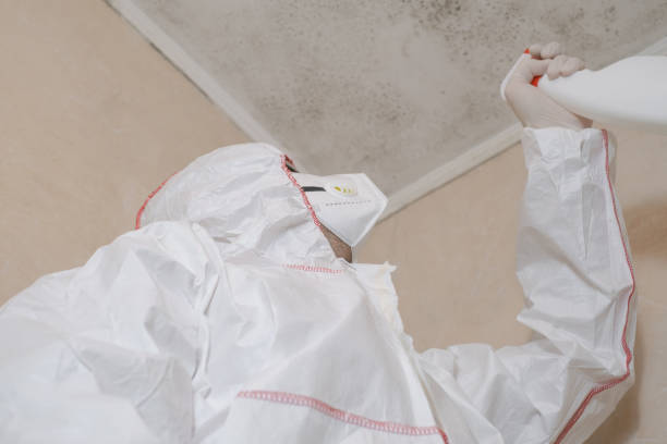 Best Residential Mold Removal  in Hamburg, AR